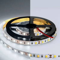 Светодиодная лента LED 5630 60Led/m(Холодный 6000K, 12V, 20W/m, IP20, 300Led/5m, 900Lm/m, 5000*10mm)