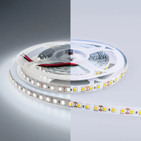 Светодиодная лента LED ECO 2835 120Led/m(Холодный 6000K, 12V, 9.6W/m, IP20, 600Led/5m, 1080Lm/m, 5000*8mm/20000*8mm)